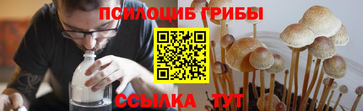 Псилоцибиновые грибы MAGIC MUSHROOMS Усолье-Сибирское